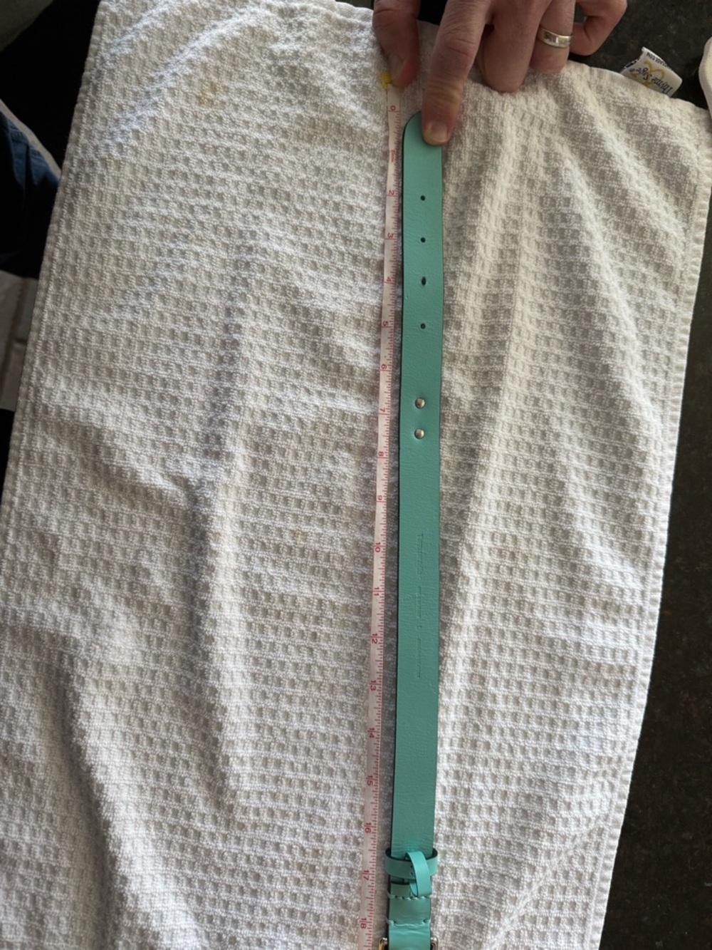 Tiffany & Co. Dog collar with original blue box - Picture 6 of 6
